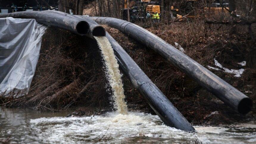 PVEM propone incrementar sanciones por delitos ambientales en México