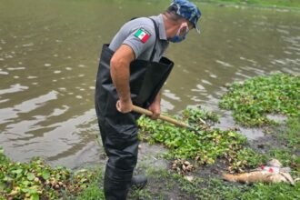 Querétaro: Conagua soluciona problemas en la presa El Batán
