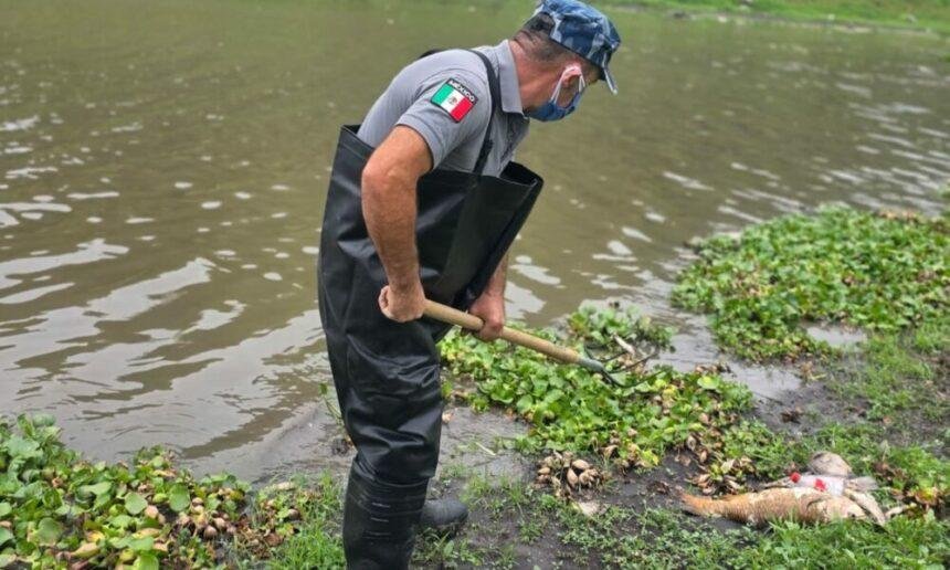 Querétaro: Conagua soluciona problemas en la presa El Batán