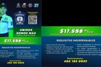 reclutamiento