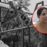 Regidora denuncia negligencia por muertes en el Zoológico de León