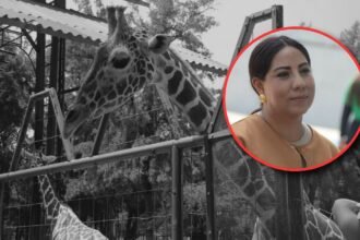 Regidora denuncia negligencia por muertes en el Zoológico de León
