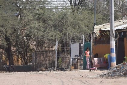 Rehabilitan caminos rurales en León con inversión de más de 6 millones de pesos