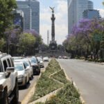Restricciones de circulación vehicular en CDMX y Área Metropolitana del Valle de México
