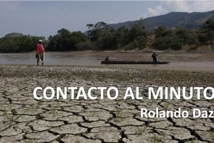 rolando 49