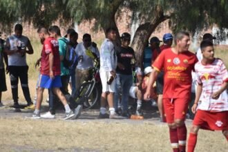 Salamanca: Fiscalización supervisa venta de alcohol en Campos Nuevos