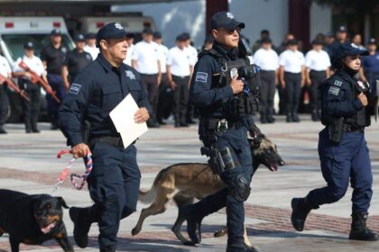 salamanca homenaje a barret y chubi perros de la policia Salamanca: Homenaje a Barret y Chubi, perros de la Policía Canina