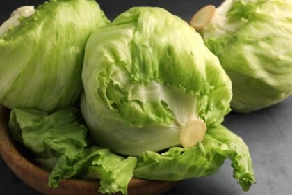Secretaría de Salud informa resultados negativos en pruebas de lechugas Taylor Farms