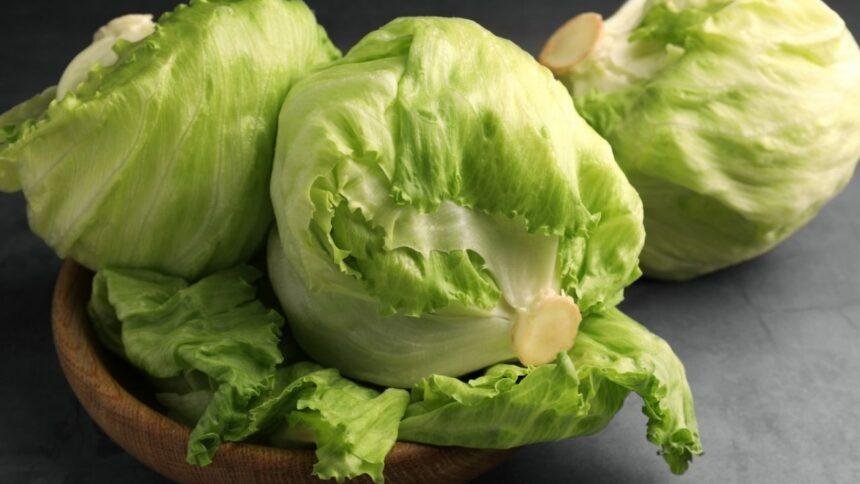 Secretaría de Salud informa resultados negativos en pruebas de lechugas Taylor Farms