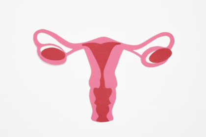 Título reescrito: El papel de los ovarios después de la menopausia y su impacto en la salud