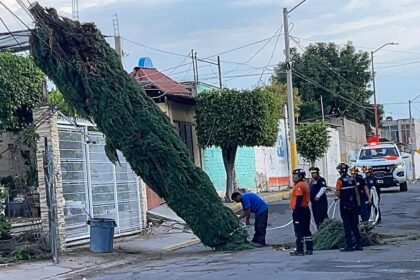 tormenta en irapuato genera encharcamientos y caida de arboles Tormenta en Irapuato genera encharcamientos y caída de árboles