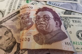 UIF detecta operaciones ilegales del CJNG en red sancionada por EU