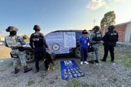 Unidad Canina K9 asegura más de 600 dosis de droga en Irapuato