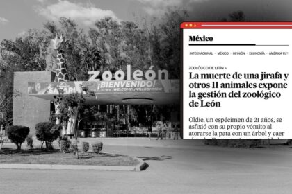 zoo leon enfrenta cuestionamientos tras recibir animales rescatados Zoo León enfrenta cuestionamientos tras recibir animales rescatados