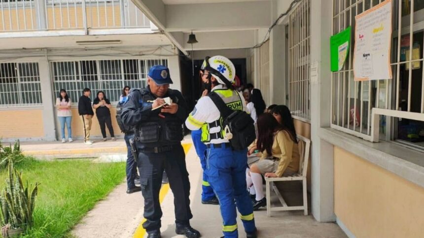 Abejas atacan a alumnos durante regreso a clases en CDMX y Culiacán