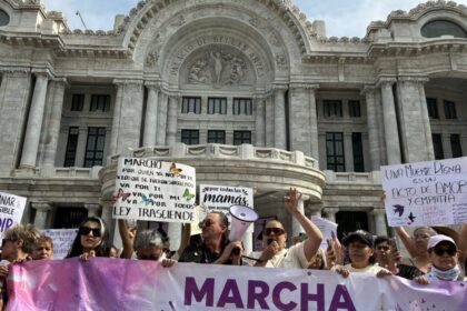 activistas marchan en cdmx y presentan iniciativa al congreso local Activistas marchan en CDMX y presentan iniciativa al Congreso local