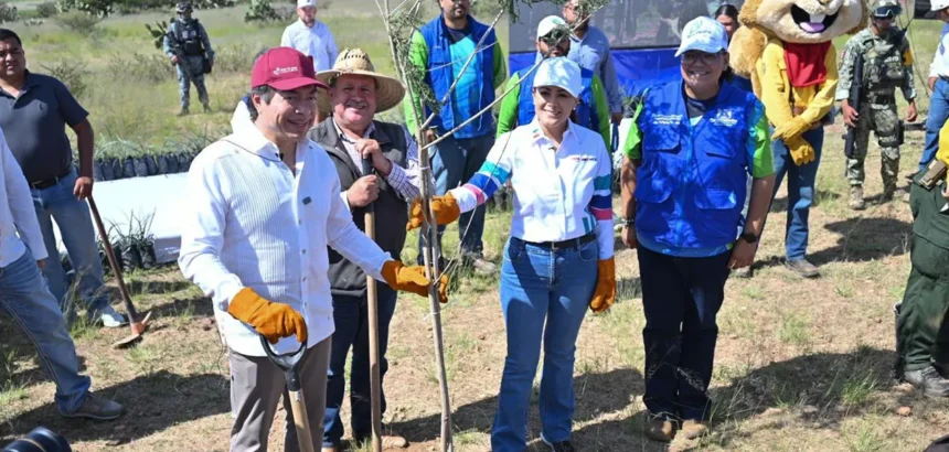 Aguascalientes Avanza en Reforestación Nacional bajo Tere Jiménez