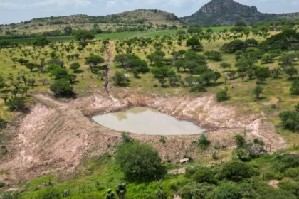 Aguascalientes impulsa el campo con 6 mil bordos