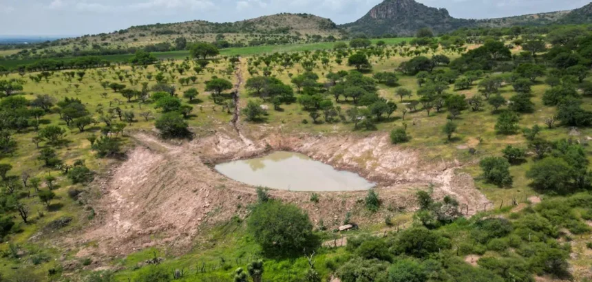 Aguascalientes impulsa el campo con 6 mil bordos
