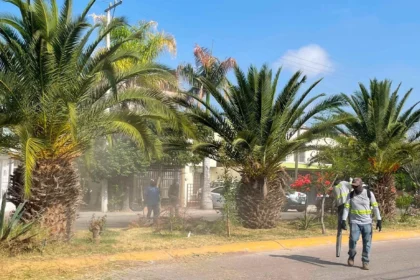 Aguascalientes: Mega Operativo Limpia en Mariano Escobedo