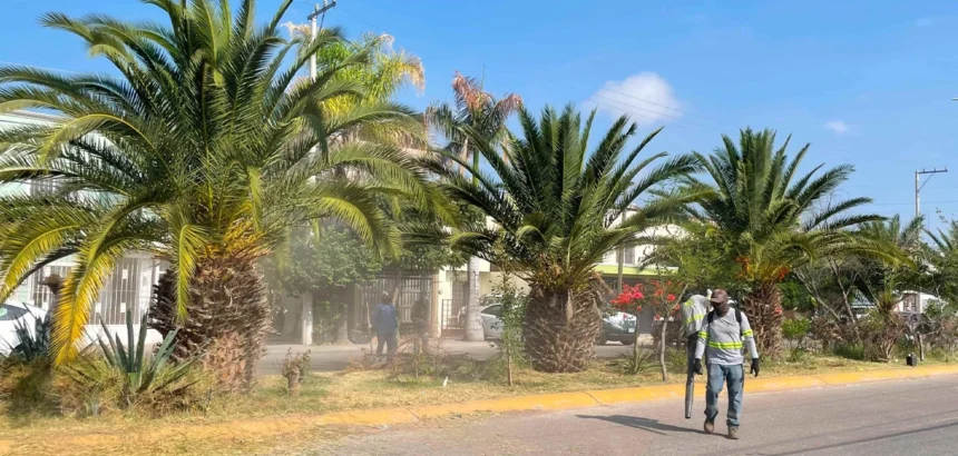 Aguascalientes: Mega Operativo Limpia en Mariano Escobedo