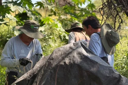 Aguascalientes refuerza la conservación de La Pona