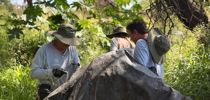 Aguascalientes refuerza la conservación de La Pona