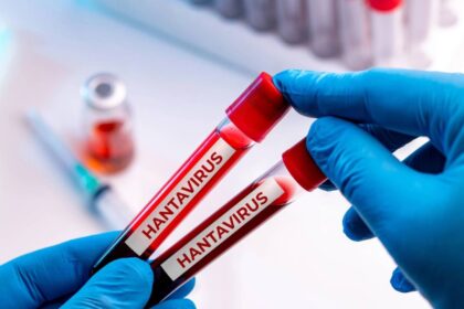 aislamiento de turista en espana tras positivo por hantavirus Aislamiento de turista en España tras positivo por hantavirus