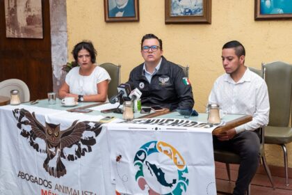 Animalistas advierten retroceso en proyecto de Ley General de Bienestar Animal