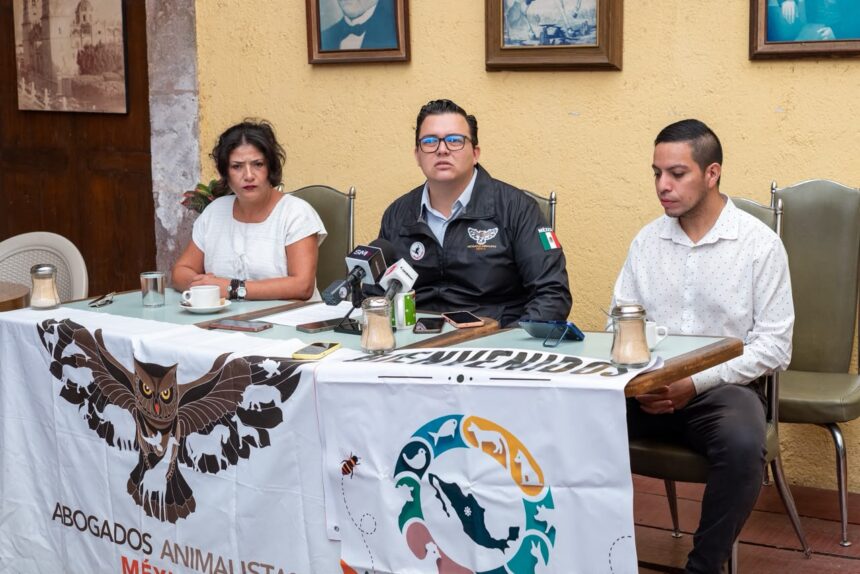 Animalistas advierten retroceso en proyecto de Ley General de Bienestar Animal