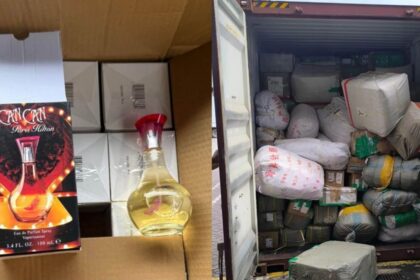 aseguran mas de 4 mil productos falsificados en puerto de Aseguran más de 4 mil productos falsificados en puerto de Michoacán
