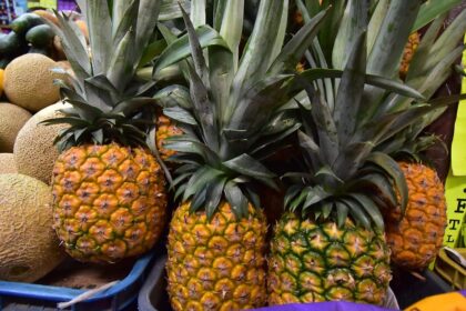 aumento en el precio de la pina en irapuato por Aumento en el precio de la piña en Irapuato por calor y escasez