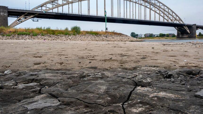 Bajo nivel de ríos afecta el transporte fluvial en Alemania y Países Bajos