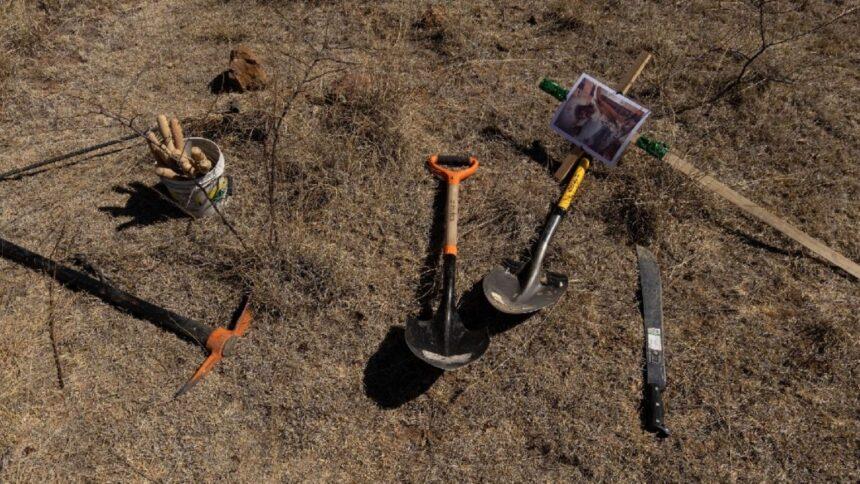 Buscadoras de Sonora localizan fosa con restos óseos y más de 50 casquillos percutidos