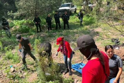 buscadoras encuentran restos en sonora tamaulipas y edomex durante el Buscadoras encuentran restos en Sonora, Tamaulipas y Edomex durante el fin de semana