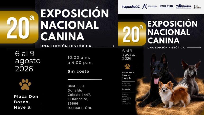 canina canina
