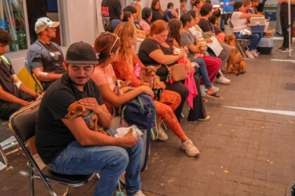 caravana de salud animal en las fuentes de zapopan Caravana de Salud Animal en Las Fuentes de Zapopan