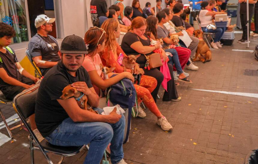 Caravana de Salud Animal en Las Fuentes de Zapopan