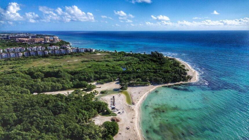 cofepris confirma ausencia del parasito en 16 hoteles de la Cofepris confirma ausencia del parásito en 16 hoteles de la Riviera Maya
