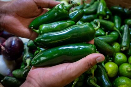Cofepris descarta salmonela en jalapeños de empacadora mexicana por brote en EU