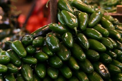 Cofepris investiga planta de chiles jalapeños por salmonela en Estados Unidos