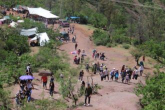 colectivo de la bufa propone declarar la zona area natural Colectivo de La Bufa propone declarar la zona Área Natural Protegida