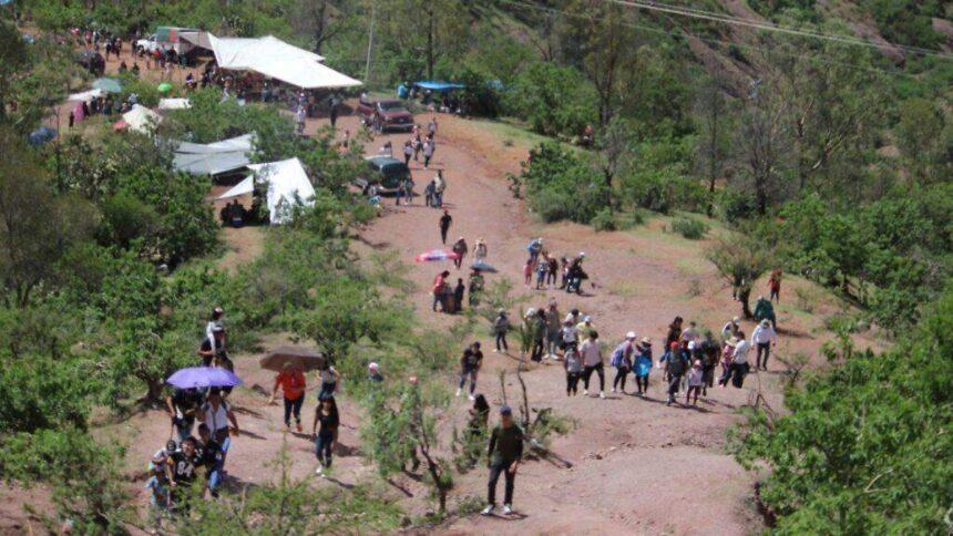 Colectivo de La Bufa propone declarar la zona Área Natural Protegida