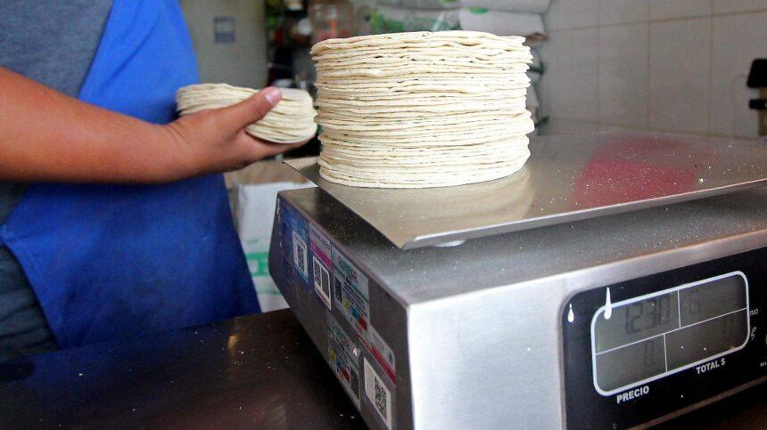 Competencia e informalidad amenazan la industria de tortillas en León