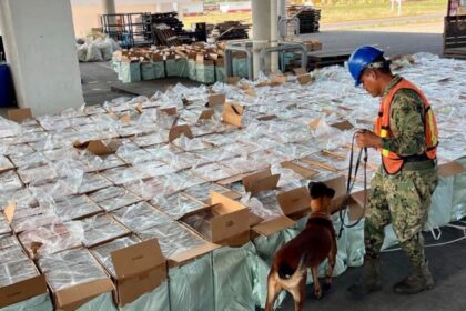 Decomisan cerca de 10 millones de cigarros apócrifos en Michoacán