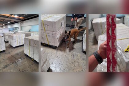 decomisan mas de 28 millones de cigarros falsificados en el Decomisan más de 2.8 millones de cigarros falsificados en el AICM