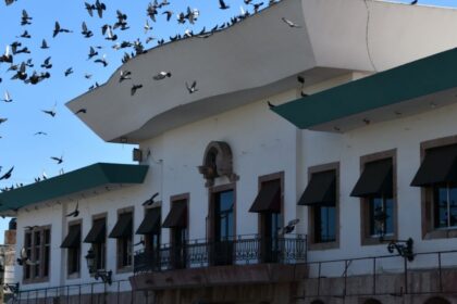 Denuncian amenazas y retiro de publicidad oficial del Ayuntamiento de Mazatlán contra periodista