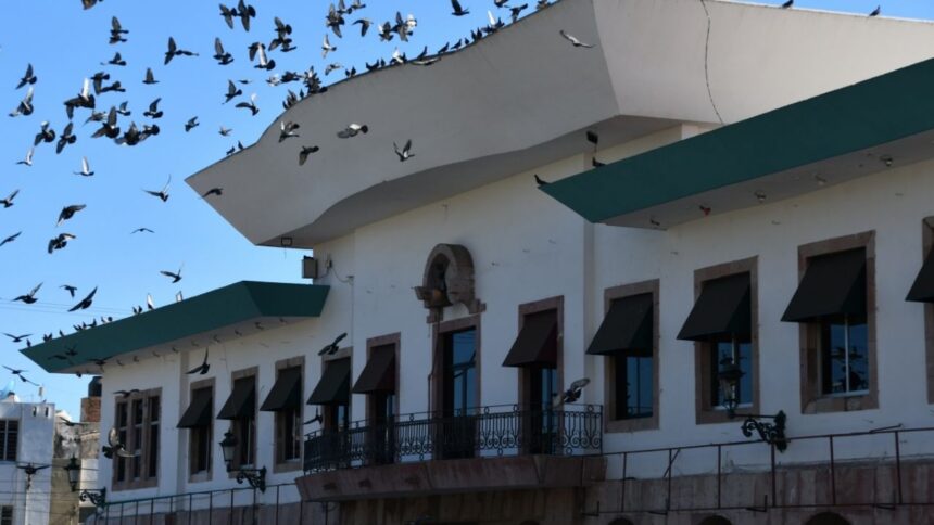 Denuncian amenazas y retiro de publicidad oficial del Ayuntamiento de Mazatlán contra periodista