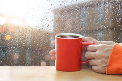 Descubre las mejores cafeterías en Del Valle para días de lluvia
