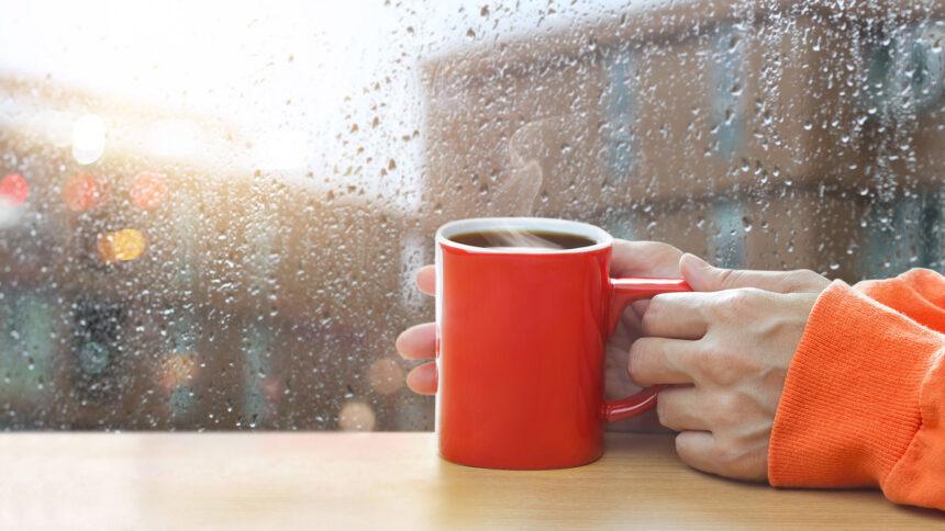 Descubre las mejores cafeterías en Del Valle para días de lluvia